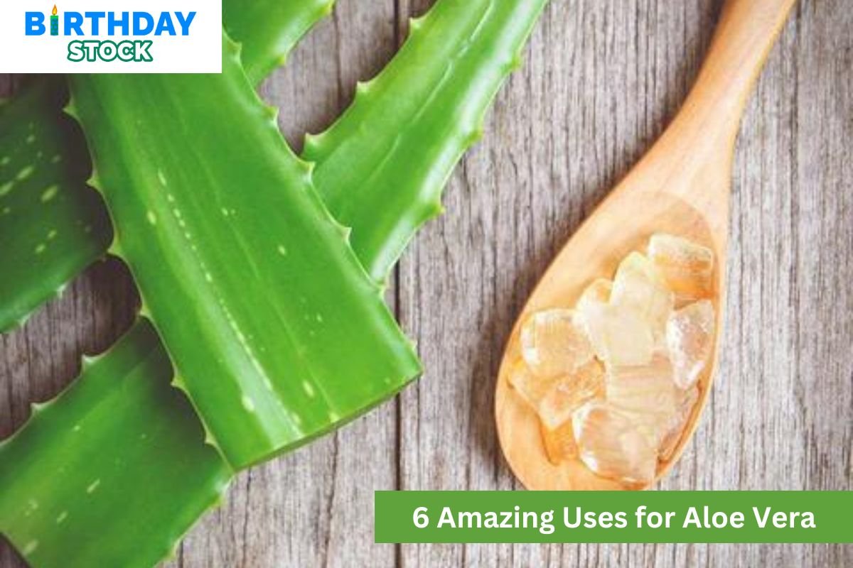 6 Amazing Uses for Aloe Vera